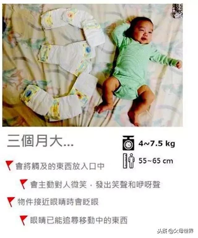 1-12个月宝宝应该发育成啥样？12图详解，看看你家宝宝有达标吗？