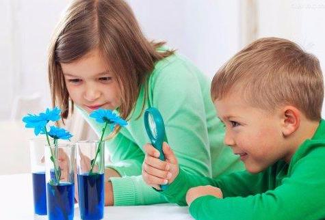 生二胎的家庭，有三句别对大宝说，可能会让大宝越来越讨厌二宝