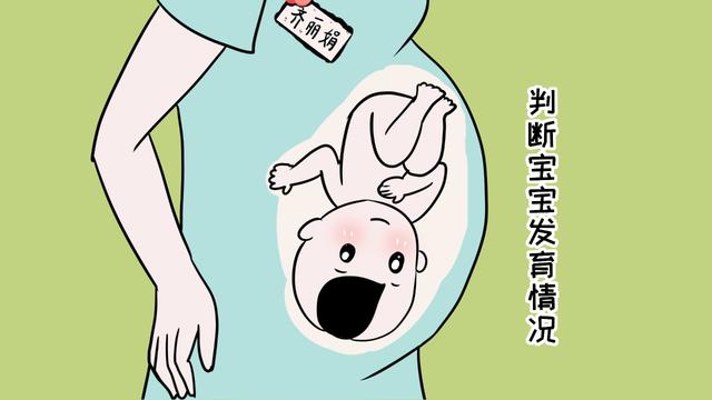 做完产检，看不懂B超报告单上的数据？孕妈需要看看这些