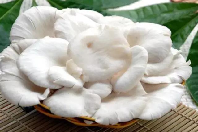 秋冬换季时，多给孩子吃此菜，不仅好吃，还能促进小孩大脑发育