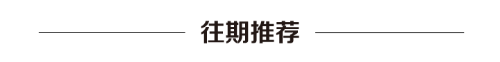 「中文有声绘本」金龟子讲故事之《菠萝鼠》