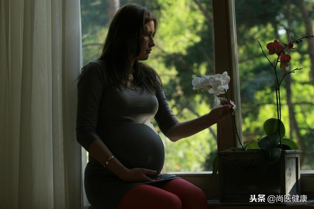 担心怀孕不能养宠物，不如管好你爱吸烟的老公！