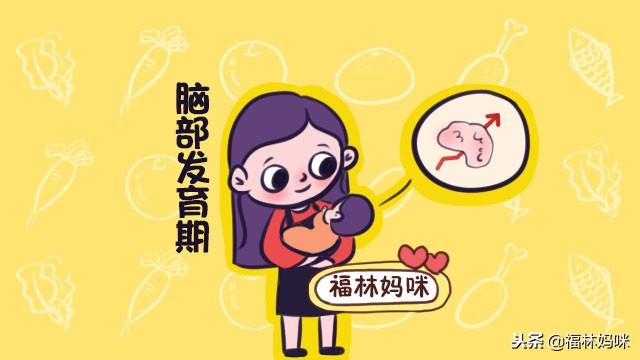 宝宝脑部发育黄金期，妈妈多吃这4类健脑食物，孩子更聪明！