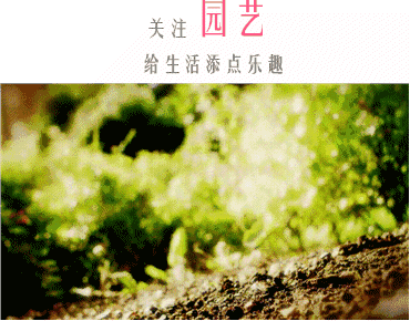 教育最大的骗局：叫释放孩子的天性！
