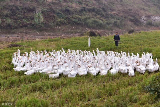 父母不能接受自己平凡和不能接受孩子平凡是一个大问题