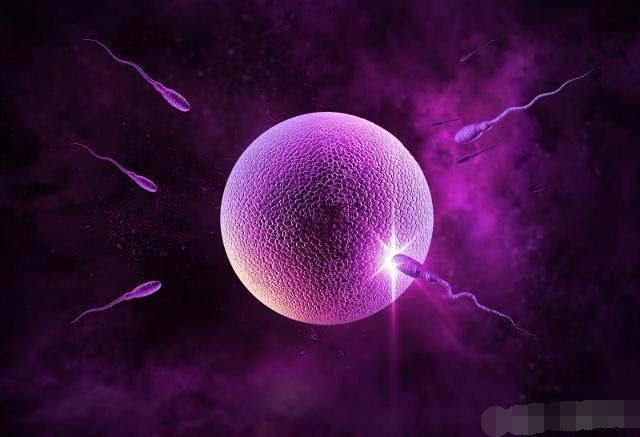 早上和晚上，哪一个时间更易怀孕？很多女人都选错了！