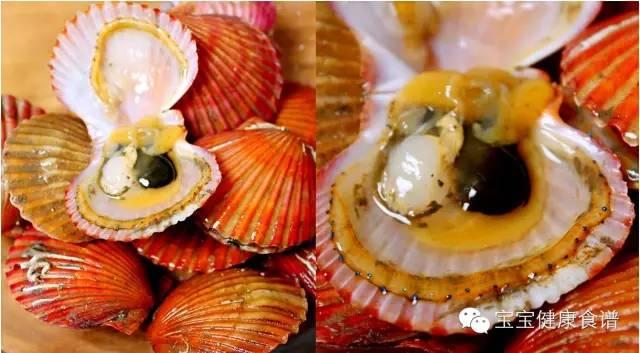 暖冬，一碗适合宝宝的莲藕扇贝汤，鲜美无法挡