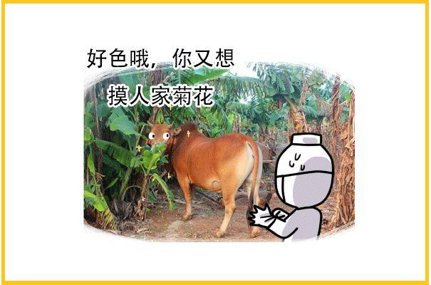 按住屁股号脉，这可能是中医被黑的最惨的一次！