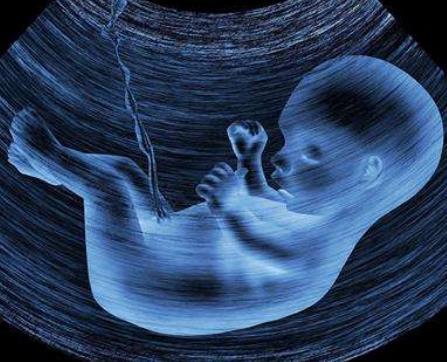 胎儿的健康和颜值全靠它，准妈妈和准爸爸还敢大意吗？