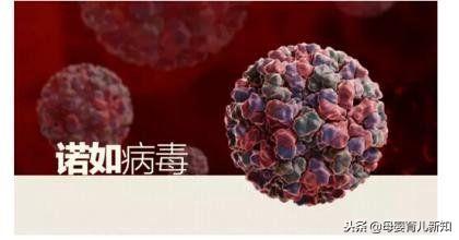 秋冬季诺如病毒来势汹汹，呕吐、腹泻别再以为只是单纯的肠胃炎了