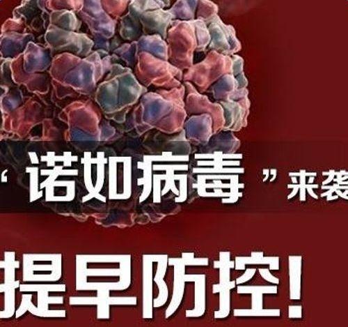 不想孩子被“诺如病毒”撂倒，你需要做这几件事，防患于未然