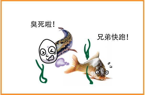 按住屁股号脉，这可能是中医被黑的最惨的一次！