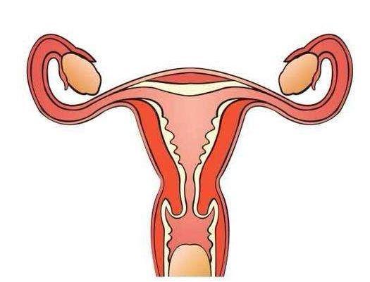 女性为何会得宫外孕？这4个因素，第2个因素女人最不应该出现