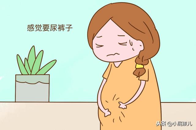 担心胎儿发育不正常？那孕期再怕麻烦，这3个检查也别错过