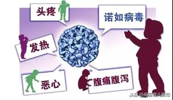 秋冬季诺如病毒来势汹汹，呕吐、腹泻别再以为只是单纯的肠胃炎了