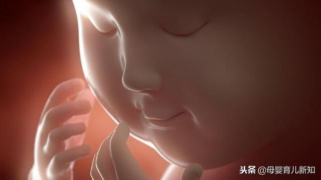 分娩的时候宝宝跟你一起在努力？6个你不知道的胎儿小知识