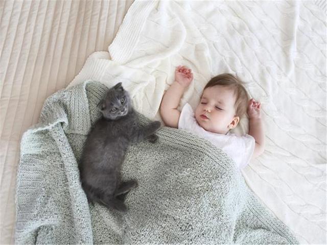 三个月的宝宝，睡觉一惊一乍不踏实，入睡困难，原因一一来说明