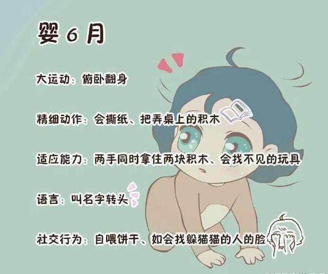1-9月龄婴儿发育标准参照