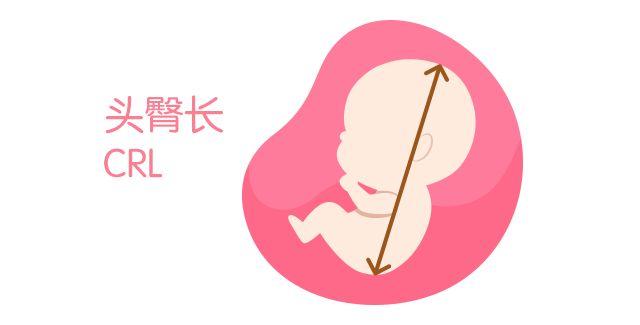 孕妇的B超单怎么看？13个指标详细解析，孕妈妈轻松看懂B超单