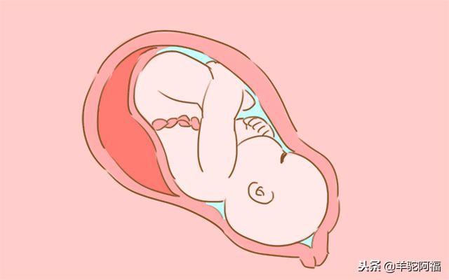 孕妈身体有这些特征，分娩可能不在预产期内