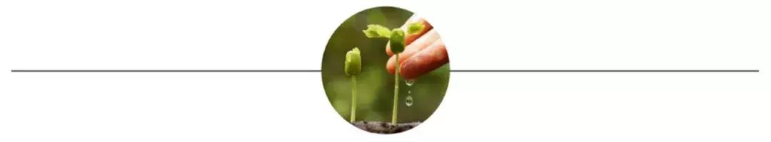 强烈反对父母打骂孩子|我们该怎么控制住自己的洪荒之力?