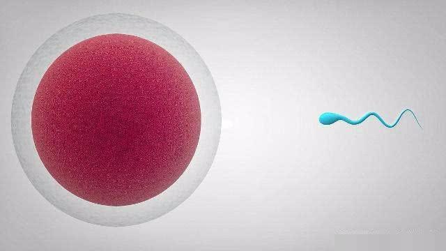 一两次就怀孕的女人，得益于这3个“优势”，你有一个也好！