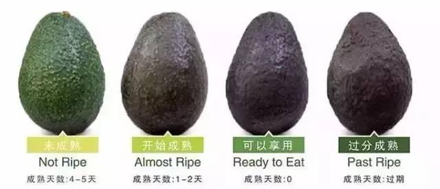 它为宝宝提供全面营养，这么做真是赞不绝口！