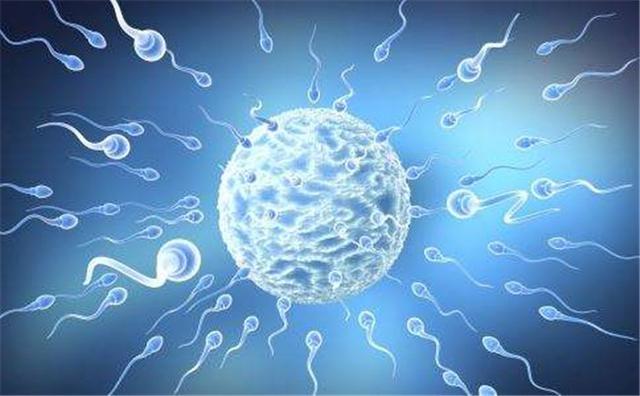 怀孕4个月宝宝B超能看清胎儿的性别吗？产科医生告诉你的秘密