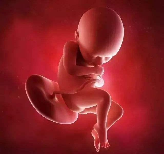 B超检查是女孩实际是男孩，B超也能看错？看看这5个原因再说