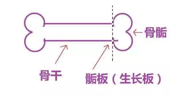 家长做到这5点，才能让孩子“高人一等”！
