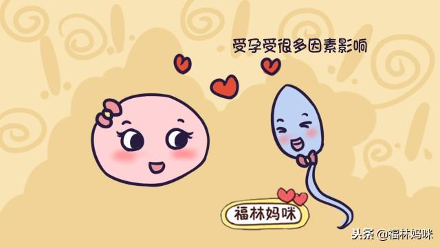 备孕一年还怀不上宝宝的，做检查应该先从男性开始，别再弄错了！