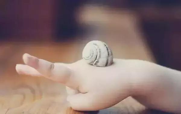 如果你忍不住对孩子发火，就读一读《牵着一只蜗牛去散步》