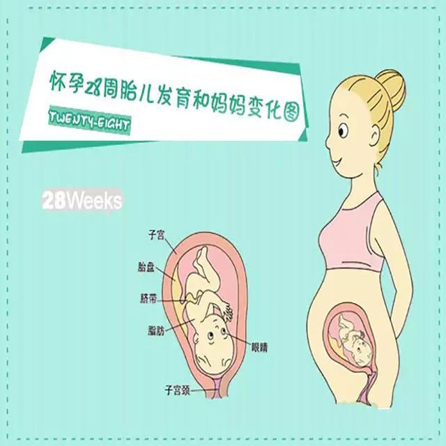 孕产说：孕28周，胎宝宝臀位，准妈妈该怎么办？早知道，早准备