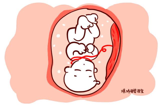 B超可以完全排除胎儿畸形吗？医生：预防比产检更重要