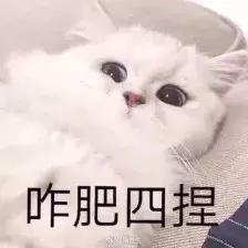 注意，宝宝会因为这个动作容易受伤