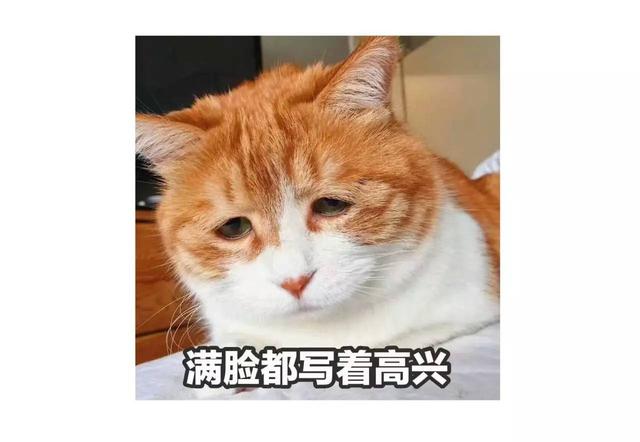 扎心了，这10个你养了娃后才能体会到的事实，你养娃前一个都不信