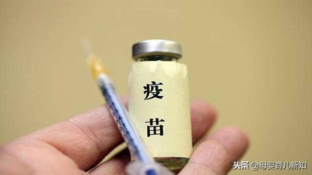 孕期能不能接种疫苗？这5种疫苗怀孕后不能注射