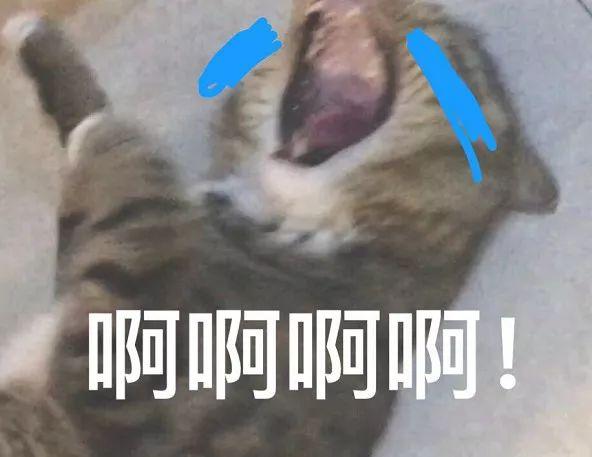 42岁女子突发心梗险丧命！作息规律坚持锻炼却躲不开