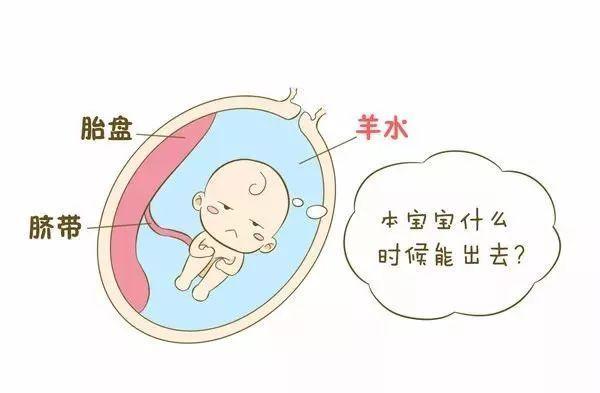 孕期羊水，你想知道的都在这里，八个作用证明它很重要