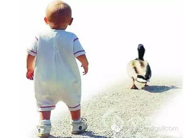 孩子学走路 这些是必经过程
