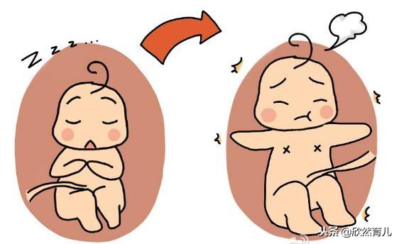 孕晚期的胎动为什么是一跳一跳的？得知答案，孕妈会心一笑