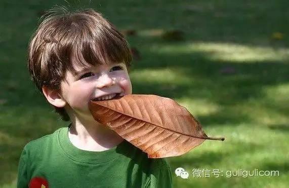 宝宝家庭教育十个不宜之处！