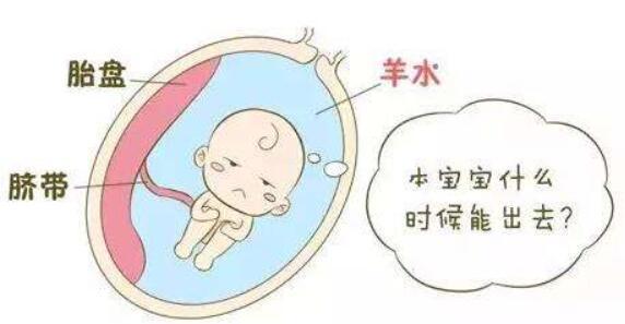 奇葩！胎宝宝是喝羊水长大的？看下都在子宫里干什么？