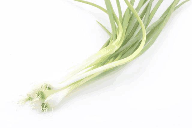 立冬后，感冒的人越来越多，学会了这个食疗方法，比吃药管用太多