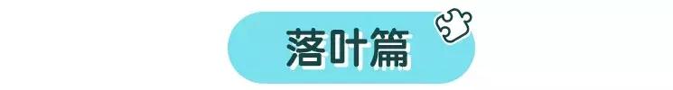 幼儿园肯定要交的这份作业，这么做老师都说赞