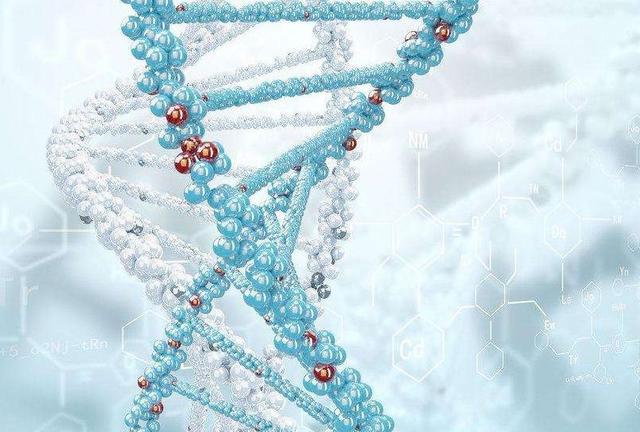 人家孩子怎么那么聪明？盘点影响孩子智商的10大因素，你娃占几个