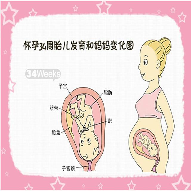 怀孕34周，是怀孕的第几个月？你想了解的真相都在这里，别不在意