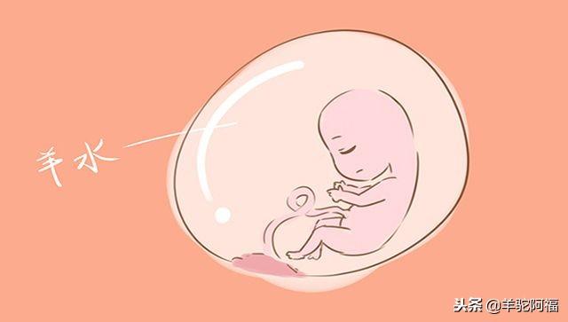 羊水是什么味道的？为什么胎宝宝这么爱喝？