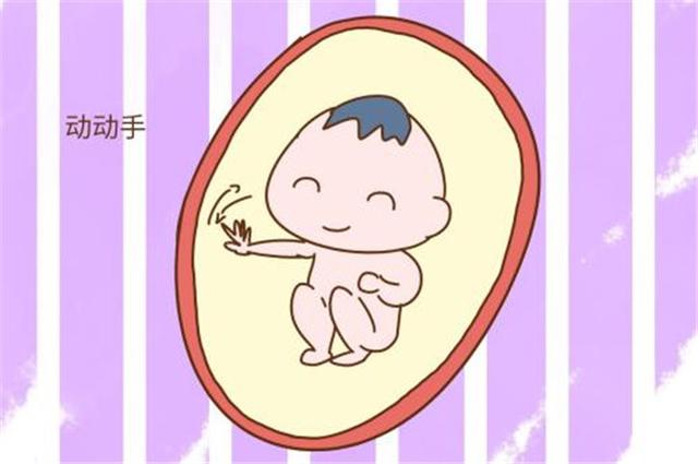 四个月的胎儿会动吗？这三个方面不可不知，准妈妈可要注意了
