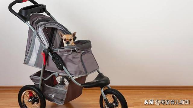 婴儿车被货车碾压致孩子死亡，5种危险的婴儿车使用方式要注意